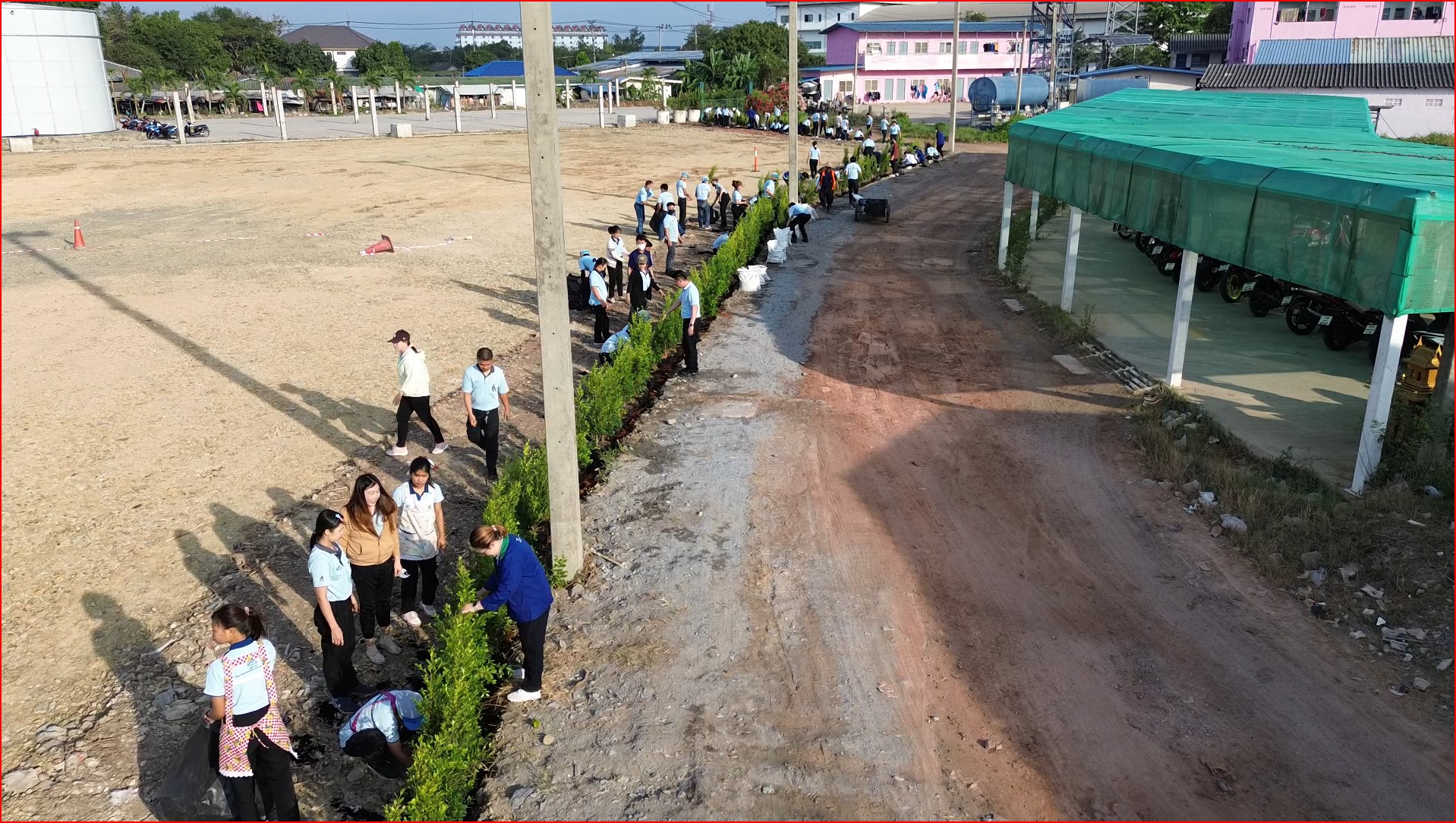 Tree Planting Activity

